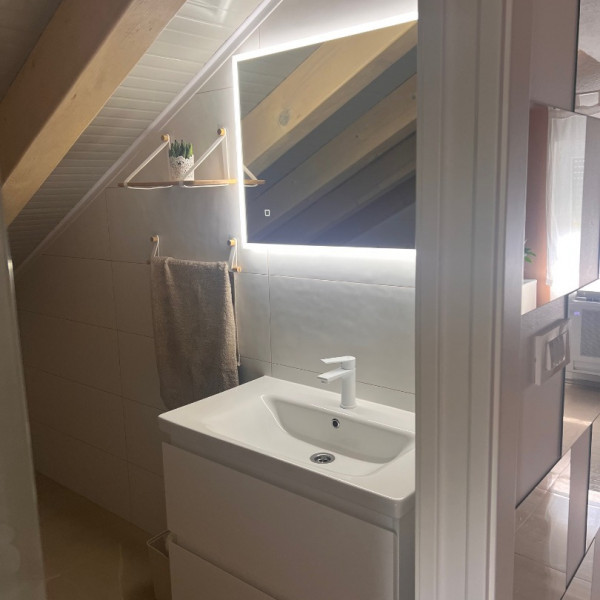 Bathroom / WC, House Francuz, Holiday Home Francuz, Peroj - Istria, Croatia Peroj